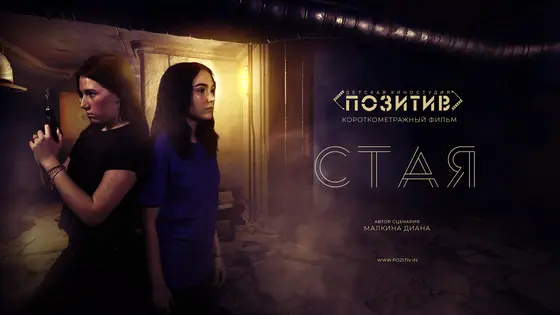 Постер: Стая